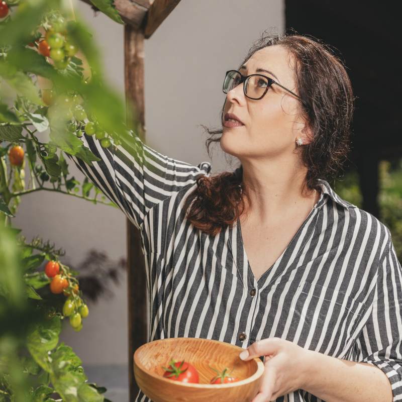 Christine alias Miss Kitchenpenny mit Brille erntet Tomaten im Garten und hält eine Holzschale mit frischen Tomaten in der Hand.